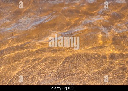Sabbia dorata della spiaggia sotto acque limpide di mare Foto Stock