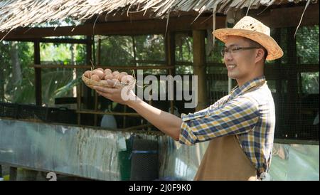 Giovane agricoltore smart usura plaid camicia a maniche lunghe grembiule marrone sono holding fresco uova di pollo nel cestello in una fattoria di pollo in lui home area Foto Stock