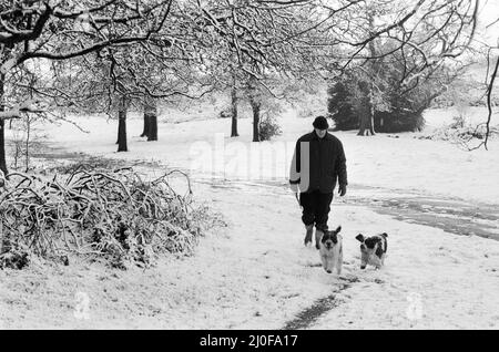 Il tempo severo ha colpito Birmingham, West Midlands, su Bank Holliday lunedì 2nd maggio 1979.(Picture) uomo che cammina i suoi cani in condizioni di neve. Foto Stock
