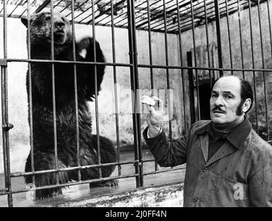 Lo zoo di Cardiff, Barry, di proprietà dei fratelli Palmer, è in vendita. Nella foto si trova il signor Hugh Palmer che sta per offrire un pezzo di pane all'orso bruno dello zoo. 23rd gennaio 1980. Foto Stock