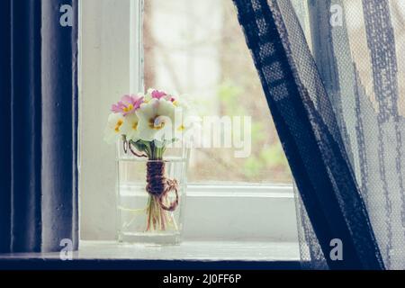 Ancora vita un bouquet di primrose sul davanzale in casa colonica Foto Stock