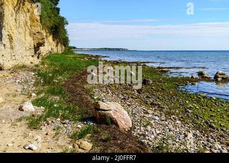 La costa del Mar Baltico a Eulenkrug vicino a Boltenhagen, Meclemburgo-Pomerania occidentale, Germania Foto Stock