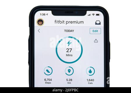 Calgary, Alberta, Canada. 3 novembre 2020. Un iPhone X con l'app fitbit Premium sullo schermo. Foto Stock