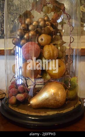 cassa di vetro di frutta dorata, casa storta, negozio di tè, lavenham, suffolk, inghilterra Foto Stock