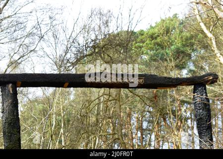 arco di legno con design intagliato, parco di campagna di stivaggio ovest, suffolk, inghilterra Foto Stock