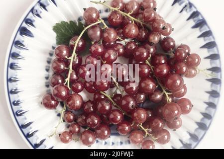 Bacche di ribes rosso su un piatto con bordo blu. Foto Stock