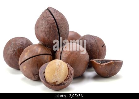 Noci di macadamia Foto Stock