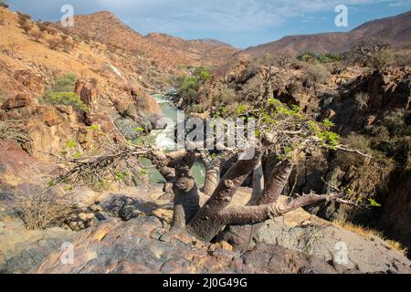 Cascate di Epupa sul fiume Kuene, Namibia. Foto Stock
