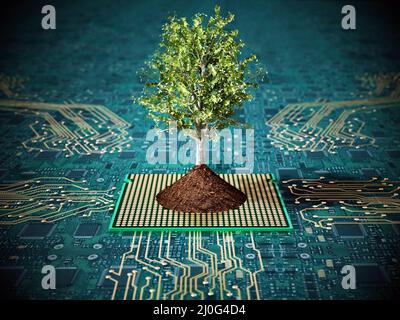 Albero con foglie verdi con terreno in piedi su PCB. 3D illustrazione. Foto Stock
