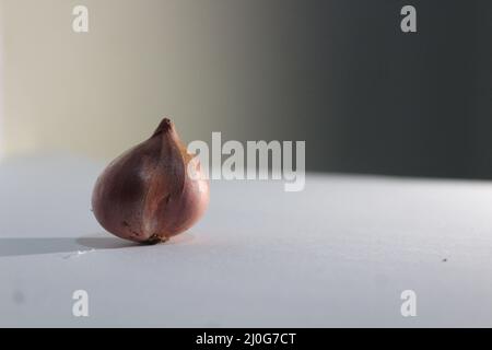 alcuni oggetti vengono fotografati collocando gli oggetti sul lato (destro o sinistro) con uno sfondo sfocato Foto Stock