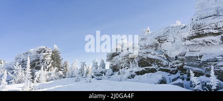 Rocce alberi bianchi in hoarfrost Foto Stock