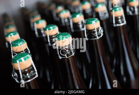 Le bottiglie di vino sul ripiano Foto Stock