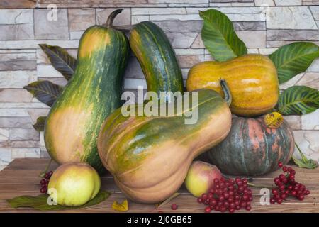 Vita morta in autunno: Zucche, mele, bacche di viburnum Foto Stock