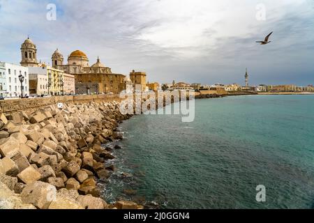 Uferpromenade und die Kathedrale von Cádiz, Andalusien, Spanien | passeggiata lungomare e cattedrale di Cádiz, Andalusia, Spagna Foto Stock