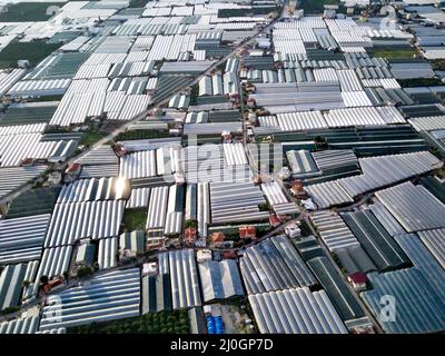 Alto angolo drone vista aerea dei campi serra di piantagione verde in Demre - provincia di Antalya in Turchia Foto Stock