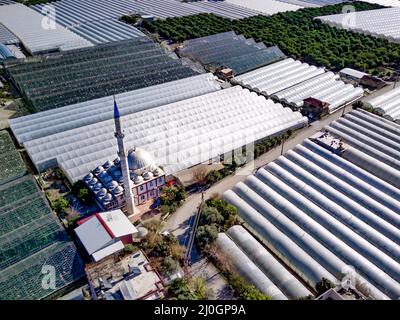 Alto angolo drone vista aerea dei campi serra di piantagione verde in Demre - provincia di Antalya in Turchia Foto Stock