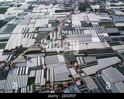 Alto angolo drone vista aerea dei campi serra di piantagione verde in Demre - provincia di Antalya in Turchia Foto Stock