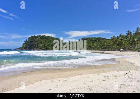 Itacare, Tropical Beach view, Bahia, Brasile, Sud America Foto Stock