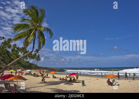 Itacare, Tropical Beach view, Bahia, Brasile, Sud America Foto Stock