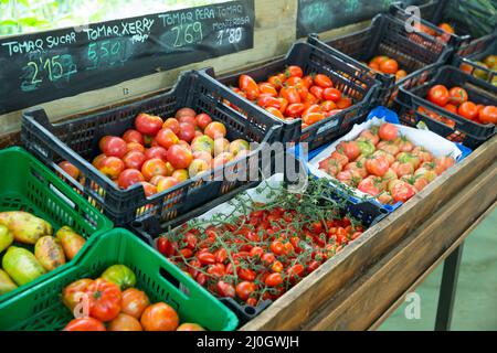 Scatole con pomodori nel negozio di alimentari Foto Stock