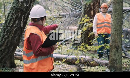 L'ambientalista uomo e donna elimina i danni causati alla foresta dopo l'uragano Foto Stock