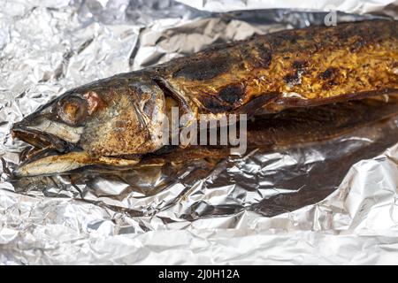 Sgombro alla griglia su olio di tinfuino Foto Stock