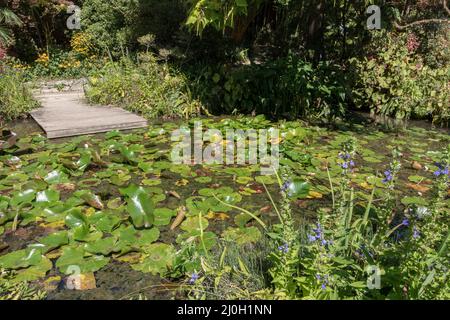 AndrÃ Heller Giardino Botanico Foto Stock