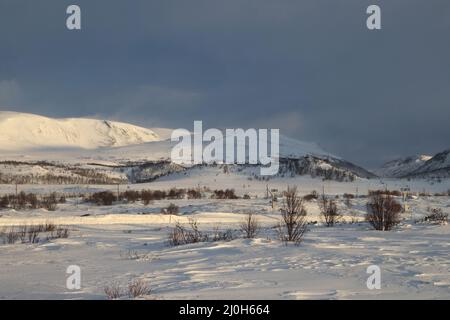 Inverno nel Parco Nazionale di Dovrefjell, Norvegia Foto Stock