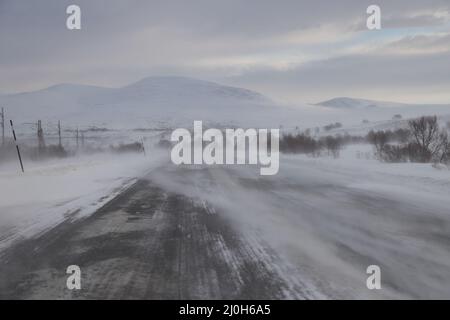 Inverno nel Parco Nazionale di Dovrefjell, Norvegia Foto Stock