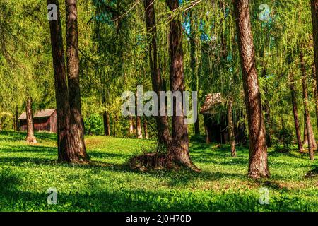 Vecchio rifugio alpino nelle Dolomiti Foto Stock