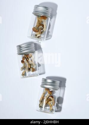 Psilocibin funghi magici psichedelici in vaso di vetro su sfondo bianco. Scuderia psilocibe Dry insegnante d'oro Foto Stock