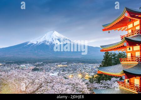 Mt. Fuji e pagoda come visto da Fujiyoshida, Giappone durante la stagione primaverile con fiori di ciliegio. Foto Stock