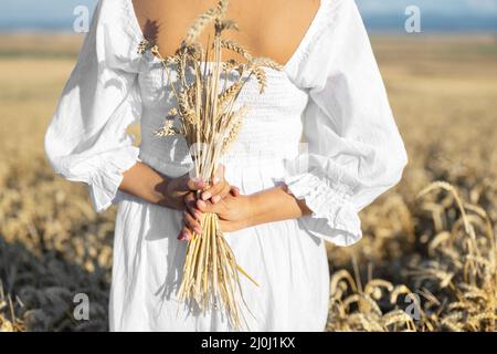 Donna in abito bianco si erge in campo con grano. La persona tiene in mano un fascio di spikelets maturi. Stagione di raccolta. Foto Stock