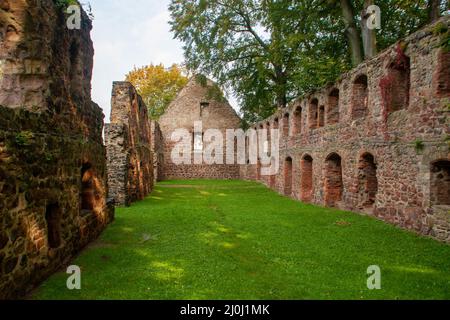 Le rovine della chiesa del monastero di Nimbschen, un'ex abbazia cistercense vicino a Grimma nel distretto sassone di Lipsia sul fiume Mulde in Germania. Foto Stock