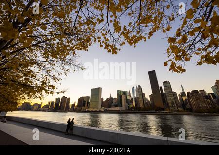 Sunset Glow avvolge il grattacielo Midtown Manhattan oltre l'East River dietro l'albero autunnale a Franklin D. Roosevelt Four Freedoms Park a Roo Foto Stock