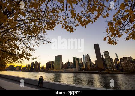 Sunset Glow avvolge il grattacielo Midtown Manhattan oltre l'East River dietro l'albero autunnale a Franklin D. Roosevelt Four Freedoms Park a Roo Foto Stock