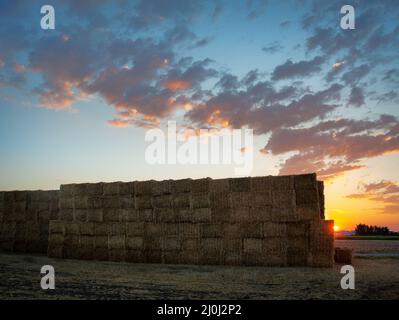 Parete del fieno - balle di paglia Foto Stock