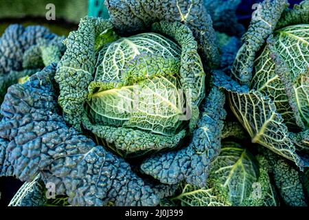 Epsom Surrey London UK, marzo 19 2022, pile o Stack of Fresh Raw Uncotti Savoy Cabbage Foto Stock