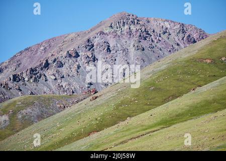 Le capre e le pecore pascolano sulle pendici dei pascoli delle steppe di montagna nel confine naturale della montagna Tsagduult in Mongolia Foto Stock