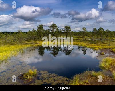 Pittoresca torbiera e paesaggio di lago blu sotto un cielo espressivo con nuvole bianche Foto Stock