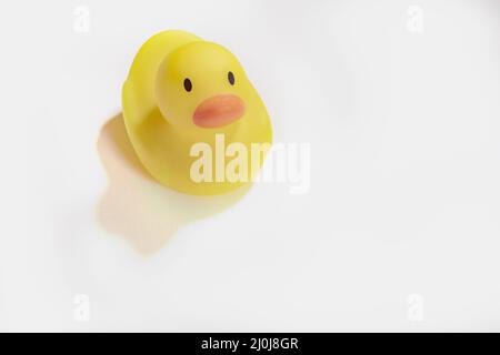 Giallo anatra giocattolo su sfondo bianco Foto Stock
