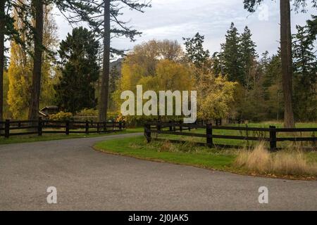 strada sterrata circondata da una recinzione in legno che conduce attraverso una zona rurale Foto Stock