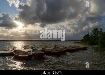 Diverse canottiere colorate legate ad un bacino galleggiante in legno in un bellissimo paesaggio lacustre Foto Stock