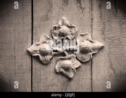 Foglie di edera forgiate su un muro di legno per la decorazione. Foto Stock