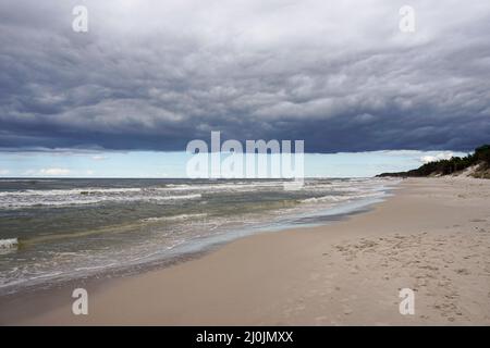 Spiagge incontaminate di sabbia vuota con foresta e dune di sabbia sulla riva Foto Stock