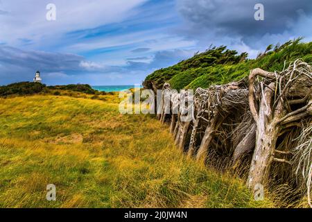 Vento frequente dall'Antartide Foto Stock