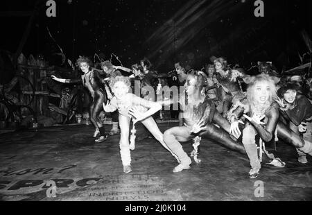 Membri del cast di Cats, musical basato su T. S. Eliot 1939 libro di poesia Old Possum's Book of Practical Cats, composto da Andrew Lloyd Webber, e in mostra al New London Theatre, (notte di apertura 11th maggio) Photocall Mercoledì 6th maggio 1981. I nostri spettacoli di foto ... Bonnie Langford come Rumpleteazer Foto Stock