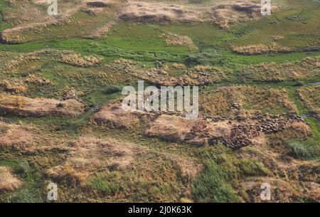 Gregge di pecore in pianura dal Castello di Van in Anatolia orientale, Turchia. La città di Van ha una lunga storia come importante area urbana. Foto Stock