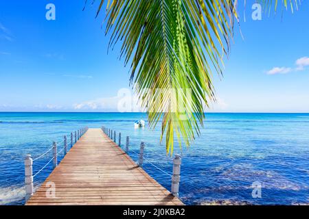 Molo di legno che si estende nel mare Foto Stock