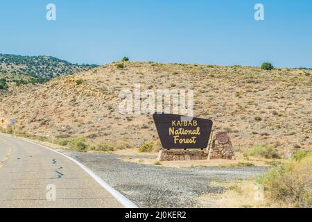 Una strada d'ingresso che porta al Grand Canyon NP, Arizona Foto Stock